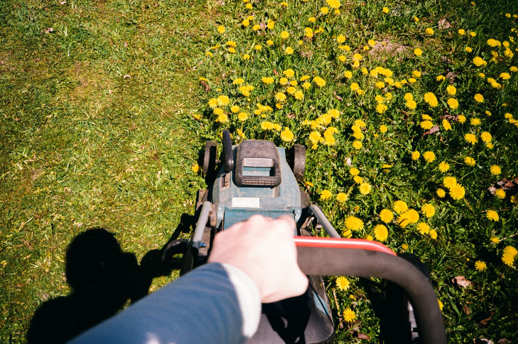 Gardening